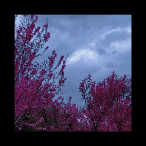 Golden Hour（remix）