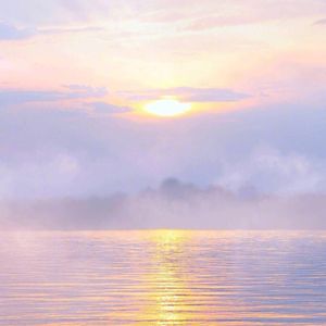 对我的所有的人说