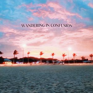 Wander in confusion（混乱中徘徊）