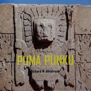 PUMA PUNKU