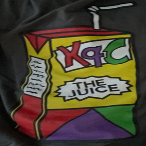 Ha Ha Ha You Think Shrek Is Your True Love