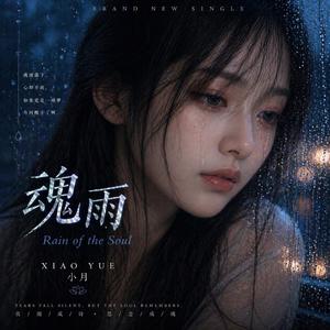 灵魂之雨 (Rain of the Soul)