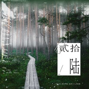 贰拾陆