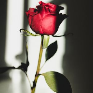 ＂芝士＂Boombap/吉他/情歌/Chill Type Beat