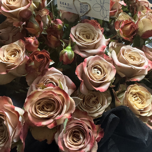 回忆线（Prod EVOMUSIC）