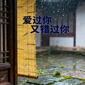 爱过你又错过你