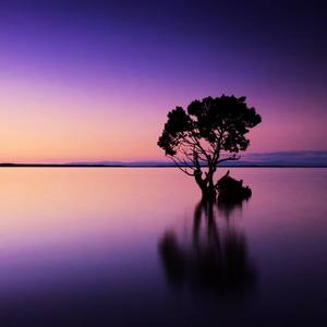 其实我想说的还有很多