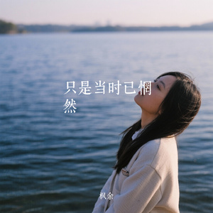 只是当时已惘然