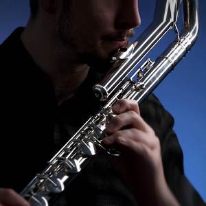 Beneath the Mask (from "Persona 5") - Flute Version