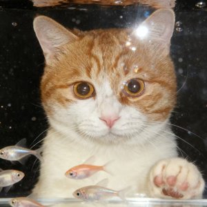 未寄出的请柬.WAV.wav