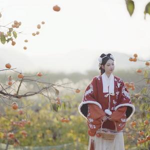 克罗地亚狂想曲 - 古风版（翻自 Maksim Mrvica）