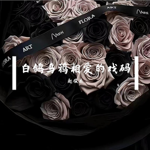 白鸽乌鸦相爱的戏码