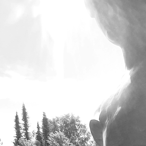 Let's Not Forget It's True