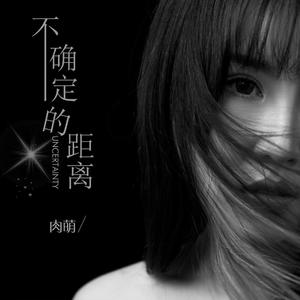 不确定的距离