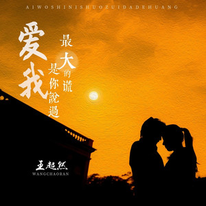 爱我是你说过最大的谎