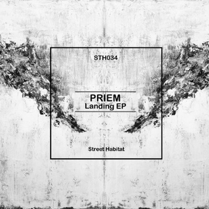 Stallion (Original Mix)