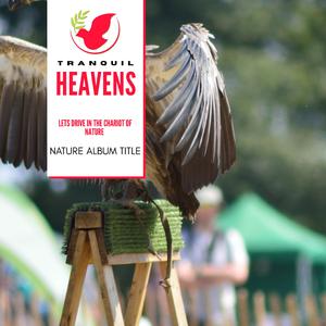 Rain after Math at Cave Entrance