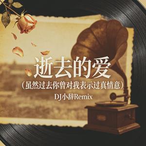 逝去的爱（DJ小辞Remix版）