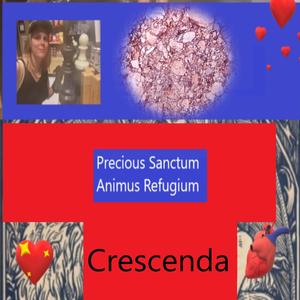 Precious Sanctum Animus Refugium