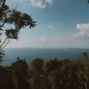 เฝ้ารอวันพบกันอีกครั้งหนึ่ง