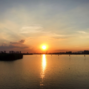 自己做决定（Cover Lu1）