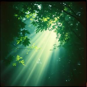 Loresong of the Wildshade Wood