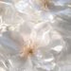 Love Sex Magic (slowed)