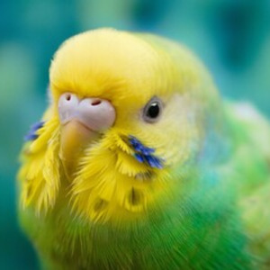 青山通りの朝の光から