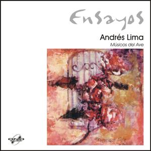 Chacarera con misterio