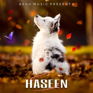 Haseen