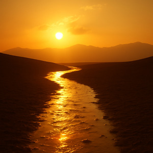 泥だらけの道を行く