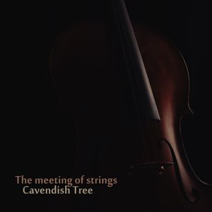 The Meeting of Strings