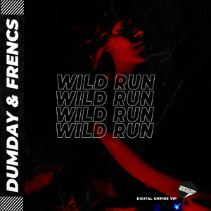 Wild Run (Extended Mix)