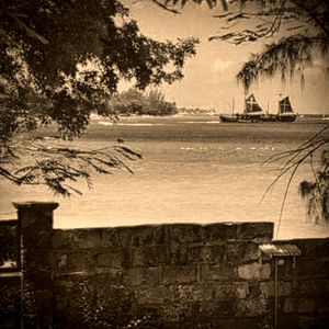 Folkestone Park