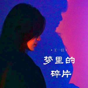 梦里的碎片