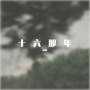 十六那年