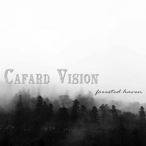 Forested Haven