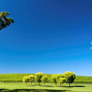 春天的第一个拥抱