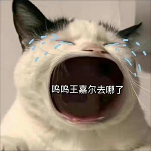 Creo En Mi（cover 西西要再努力点）