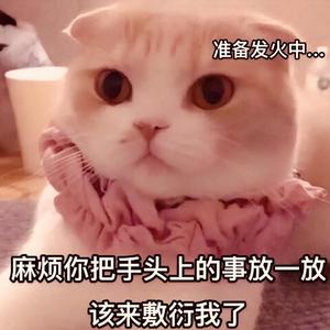 1022-比尔的歌（治愈暖男在线表白）（翻自 Bomb比尔）