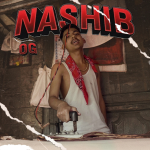 Nashib
