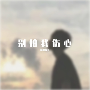 别怕我伤心