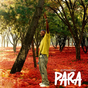 Para