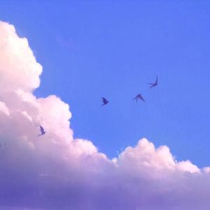 TOP(Prod EVOMUSIC)