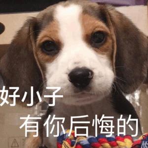 只对你有感觉（翻自 沈以诚）