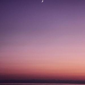 For You Page