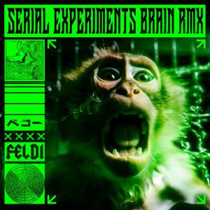 SERIAL EXPERIMENTS BRAIN (feat. FELDI) (RMX)