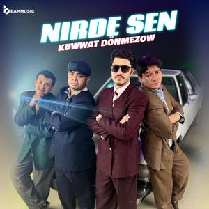Nirde Sen