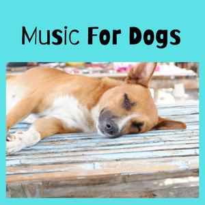 Music for Dogs