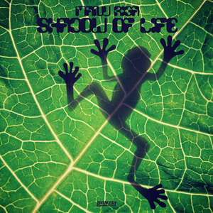 Shadow Of Life (Original Mix)